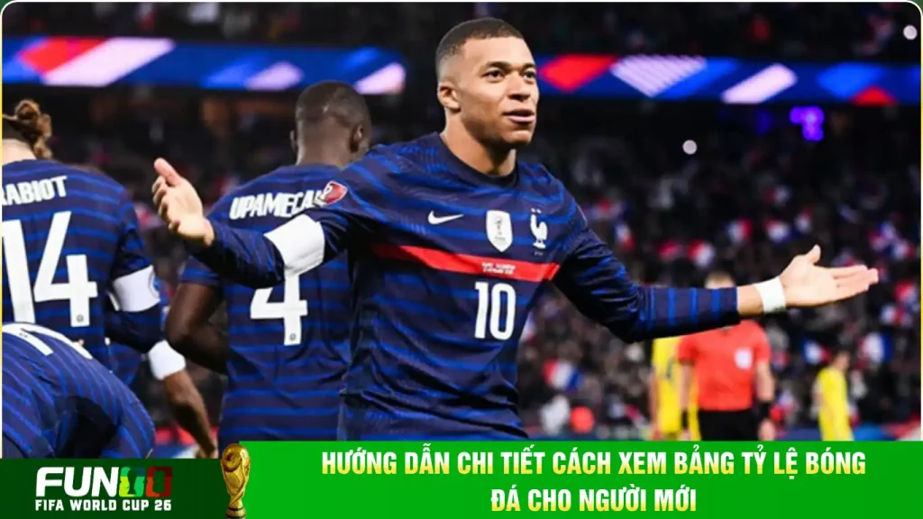 Hướng dẫn chi tiết cách xem bảng tỷ lệ bóng đá cho người mới